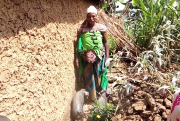 Appui en élevage dans Bibatama, territoire de Masisi